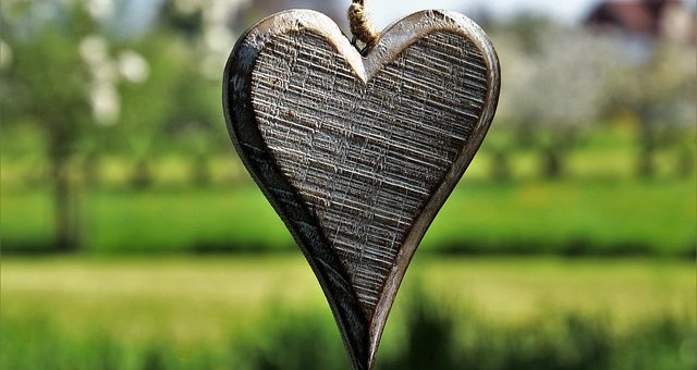 Artificial Grass Garden Trends from the Chelsea Flower Show